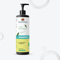 Midora Anti Dandruff Shampoo for Itchy Flaky and Stubborn Scalp, All Hair Types, 200ml